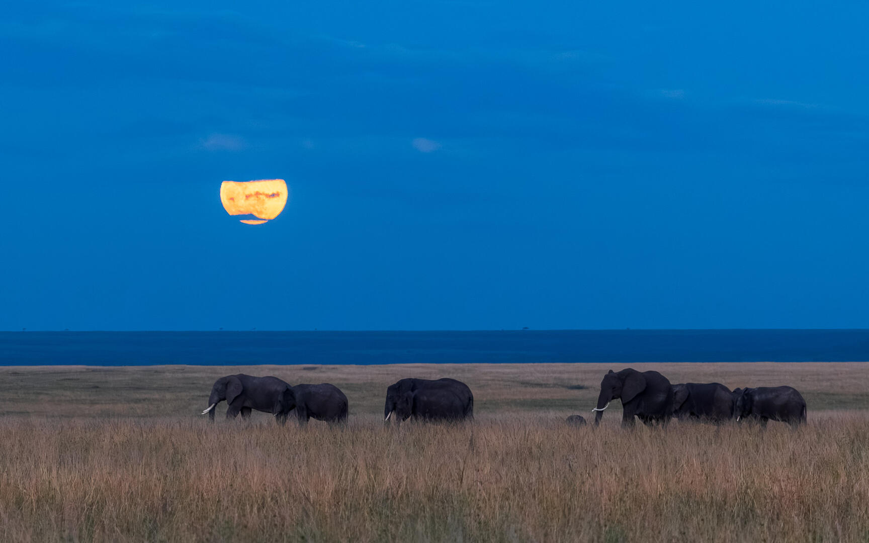 Moon rise at Sunset, Masai Mara
